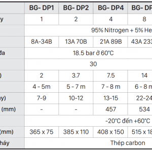 Bình chữa cháy ACB Model | BasicFires